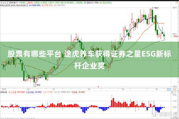 股票有哪些平台 途虎养车获得证券之星ESG新标杆企业奖