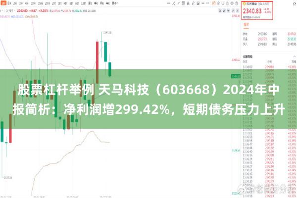 股票杠杆举例 天马科技（603668）2024年中报简析：净利润增299.42%，短期债务压力上升