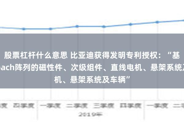 股票杠杆什么意思 比亚迪获得发明专利授权：“基于Halbach阵列的磁性件、次级组件、直线电机、悬架系统及车辆”