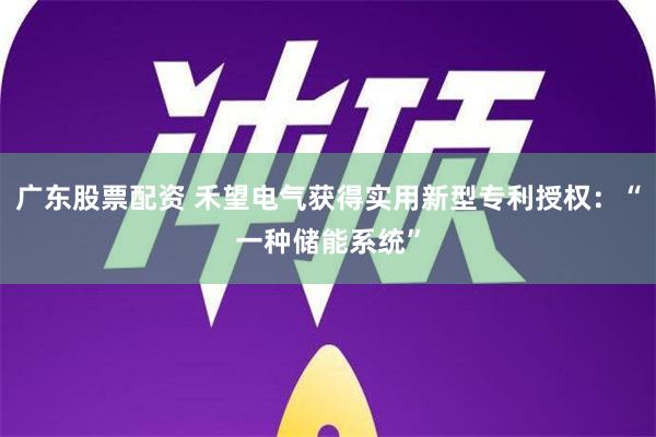 广东股票配资 禾望电气获得实用新型专利授权：“一种储能系统”