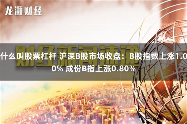 什么叫股票杠杆 沪深B股市场收盘：B股指数上涨1.00% 成份B指上涨0.80%