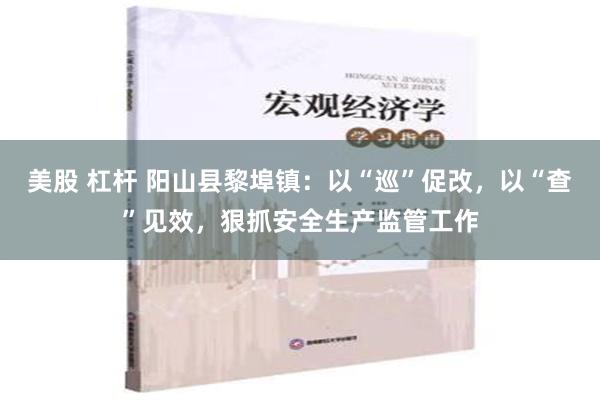 美股 杠杆 阳山县黎埠镇：以“巡”促改，以“查”见效，狠抓安全生产监管工作