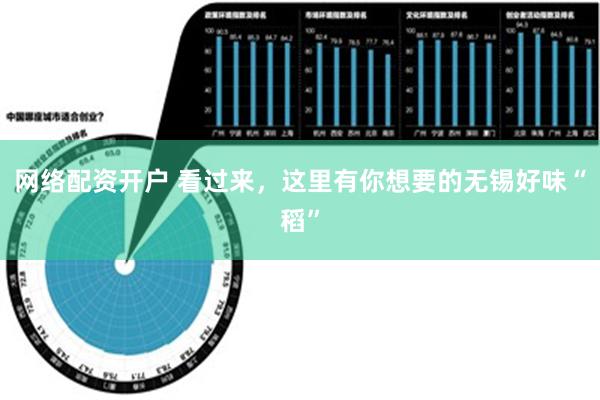 网络配资开户 看过来，这里有你想要的无锡好味“稻”